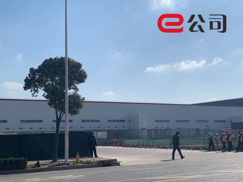 实探特斯拉上海工厂 半小时拉走36辆model 3