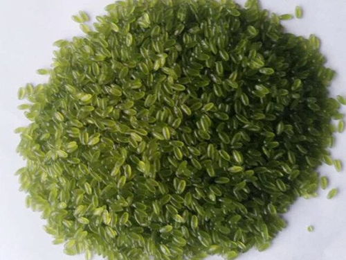 玉米杂粮设备,黄金米设备,玉米杂粮面条设备,杂粮速融粥设备,杂粮方便面设备,长春市盛达食品工业研究所机械厂