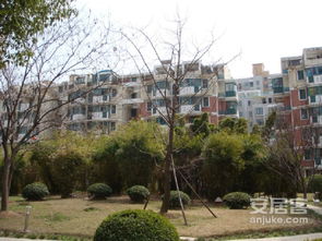 盛都花园 繁华都市中的静谧绿洲